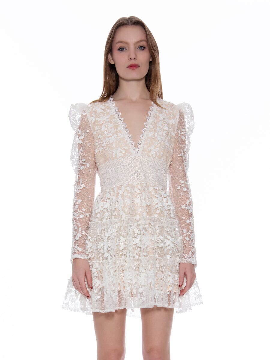 Embroidered Lace V-Neck Dress